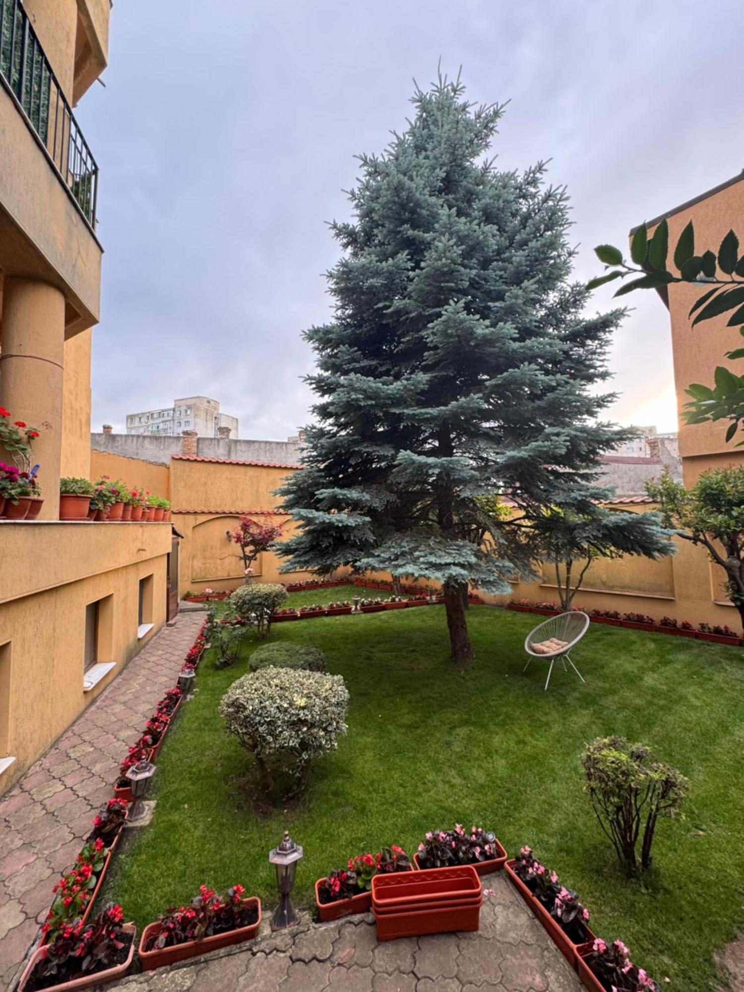 Апартаменты Apartament Central Констанца Экстерьер фото
